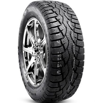 JOYROAD WINTER RX818 Tire