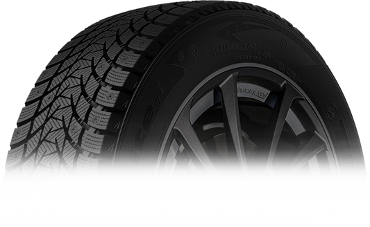 TRI-ACE Snow WhiteII Winter Tire