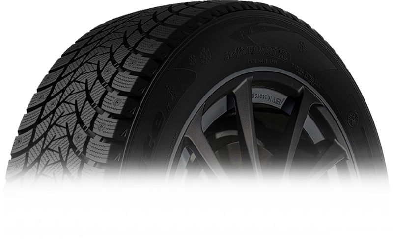 TRI-ACE Snow WhiteII Winter Tire